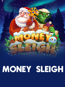 Money-Sleigh icon